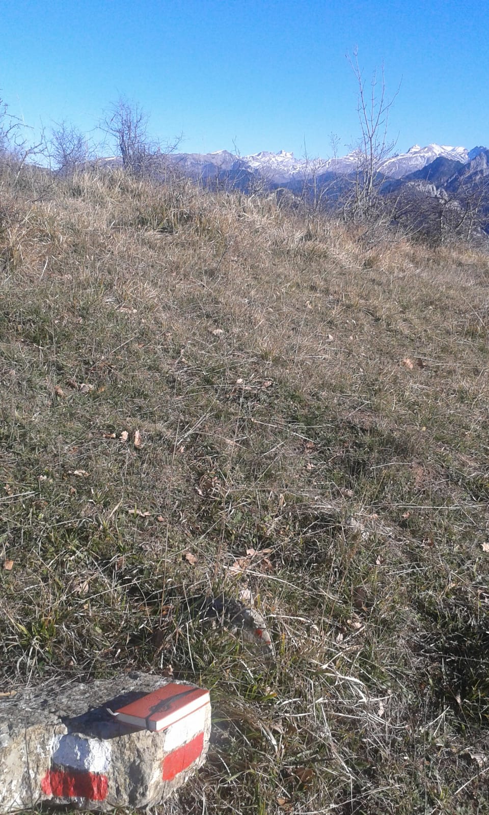 Homologación del sendero GR® 321 Camino Real en el Valle de Roncal